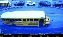 IRD counts on video-based AI classifying system
